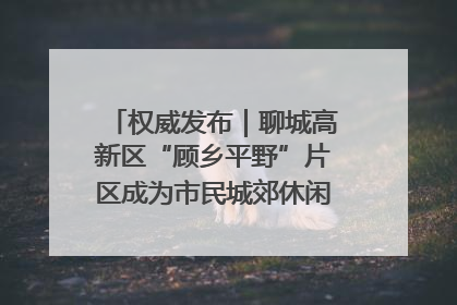 权威发布｜聊城高新区“顾乡平野”片区成为市民城郊休闲全新目的地